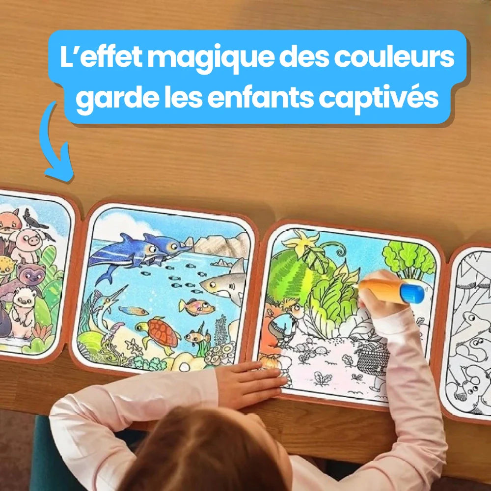 Livre de Coloriage magique