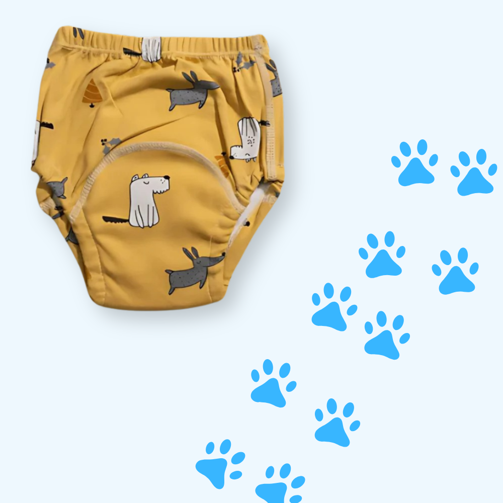 Culotte d’Apprentissage