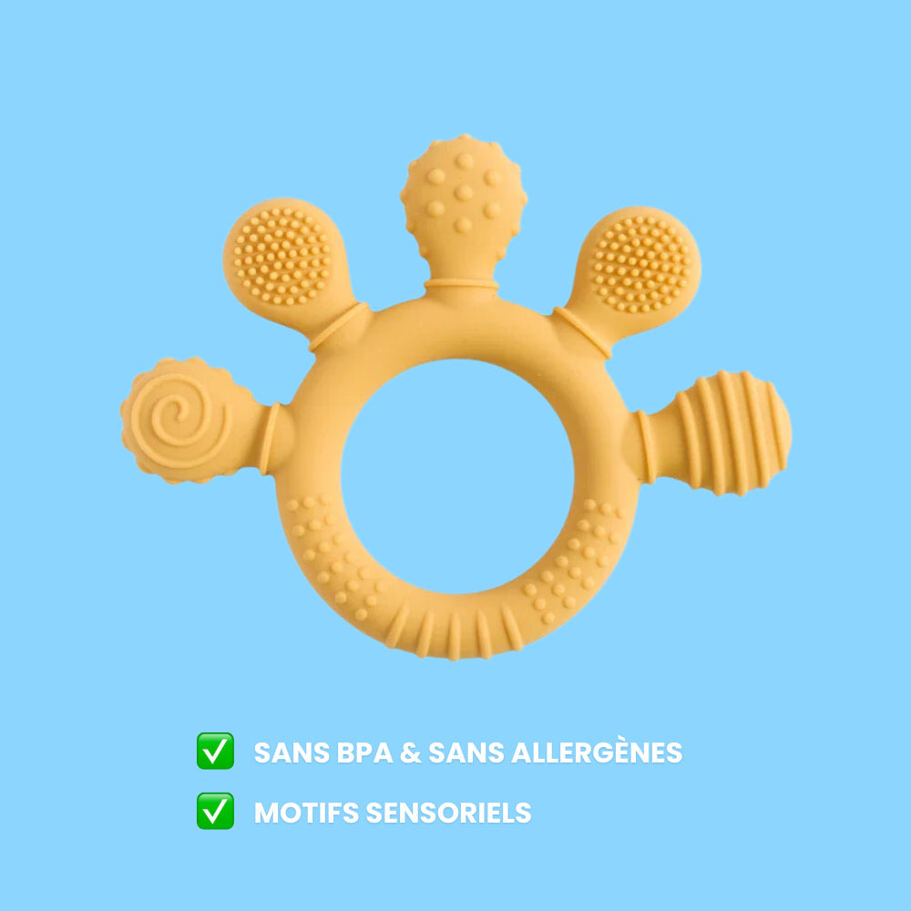 Kit poussée dentaire