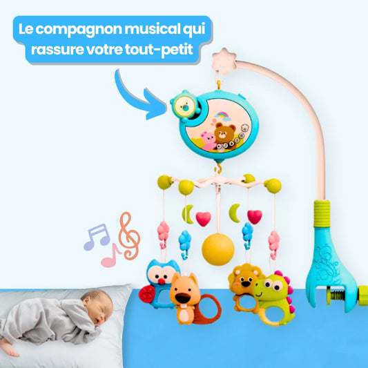 Hochet Musical pour berceau